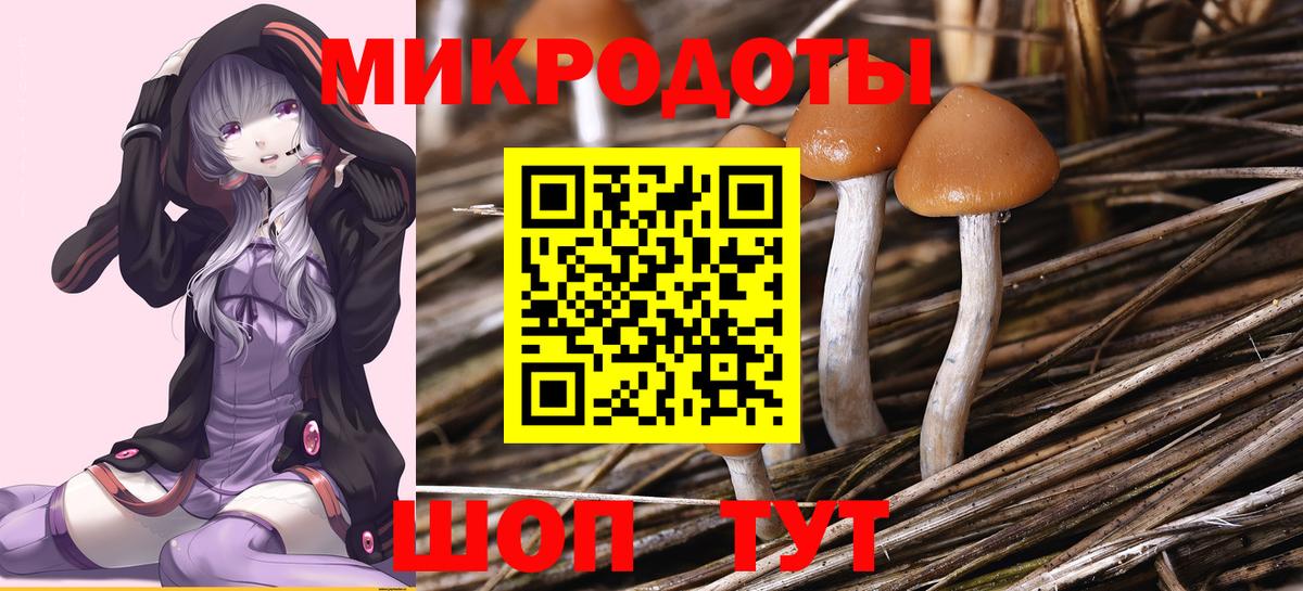 Симферополь  продажа наркотиков  Вход с VPN  Галлюциногенные грибы Psilocybine cubensis 