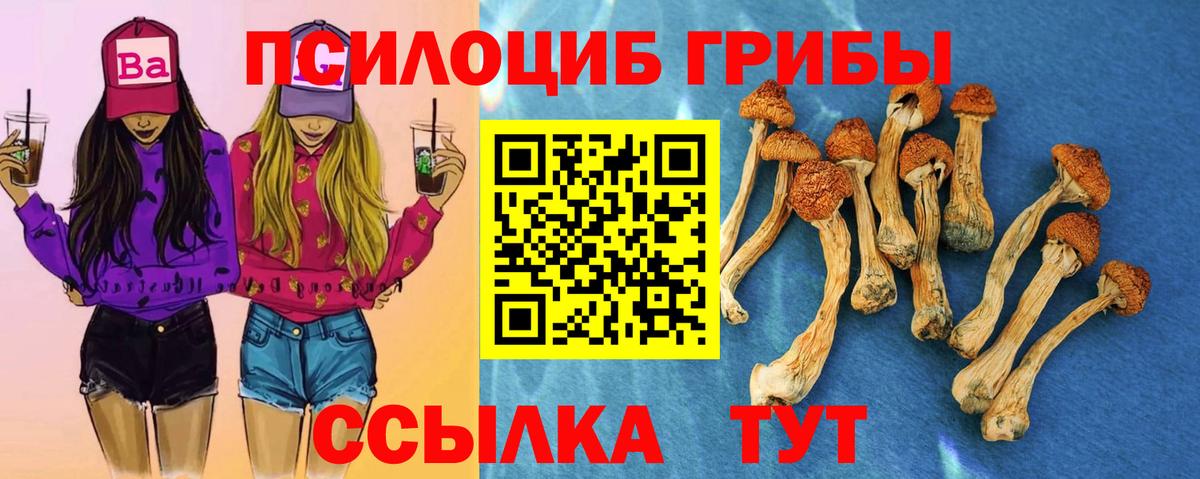 Псилоцибиновые грибы Psilocybe Симферополь